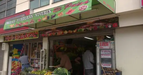 FRUTAS VERDURAS VIVERES EL PAISA FRUTAS VERDURAS VIVERES EL PAISA